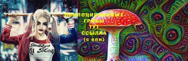прущие крисы Абаза